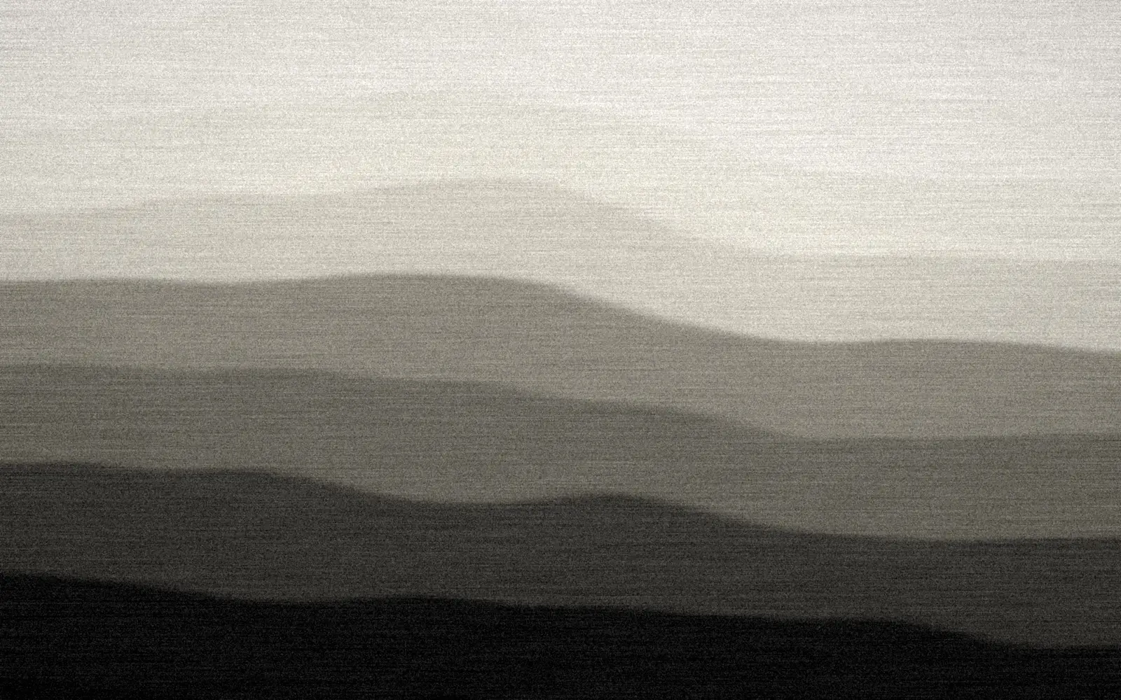 Abstract backdrop for the nutrition academy preview